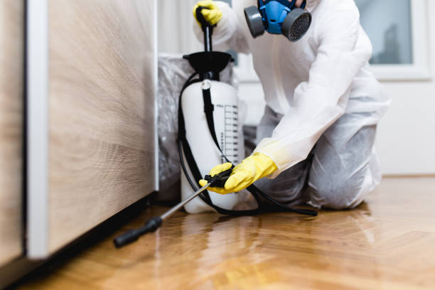 Flea Control Services in Ortonville, MN