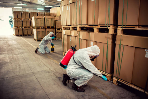Pest Prevention Services in Ortonville, MN