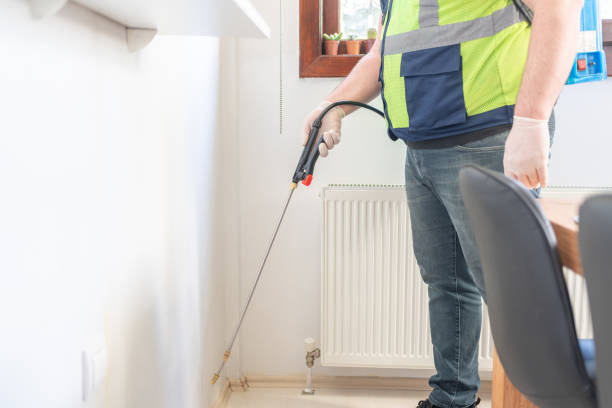 Best Wasp Removal Services  in Ortonville, MN