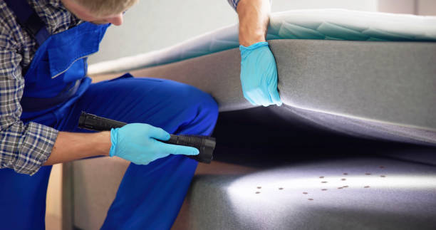 Best Pest Control Near Me  in Ortonville, MN