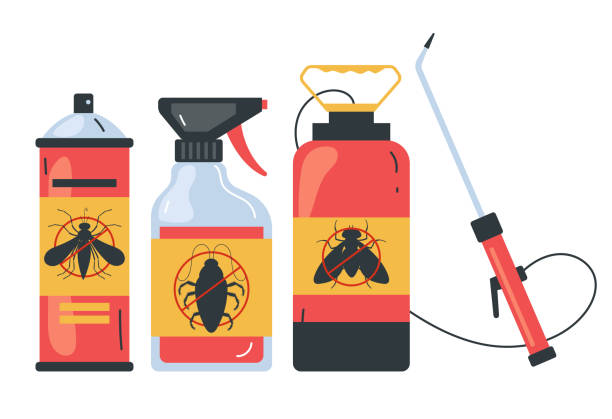 Best Spider Control Near Me  in Ortonville, MN