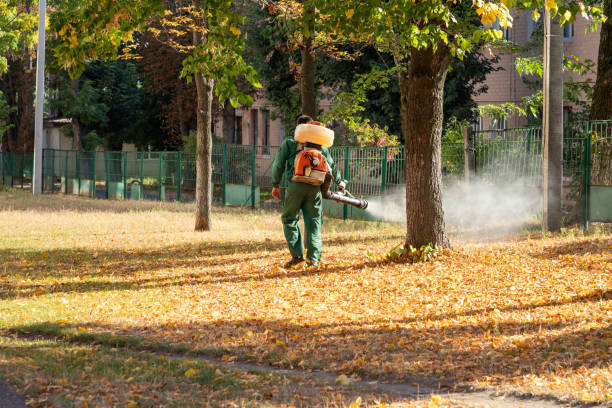 Best Local Pest Control Services  in Ortonville, MN