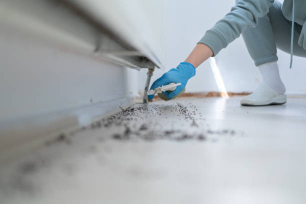 Best Pest Prevention Services  in Ortonville, MN
