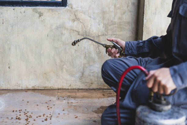 Best Best Pest Control Companies  in Ortonville, MN