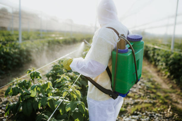 Best Mosquito Control Services  in Ortonville, MN